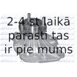 DOLZ T193