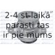 DOLZ A191
