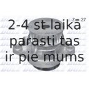 DOLZ A191