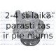 DOLZ A186