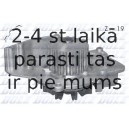 DOLZ C127