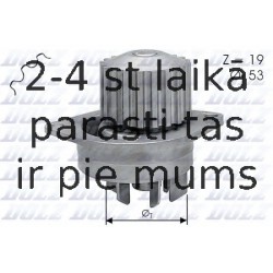 DOLZ C113