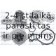 DOLZ A151