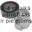 Spriegotājsvira, Ķīļrievu siksna INA 534 0122 10