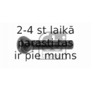 Slēdzenes poga FEBI BILSTEIN 10029