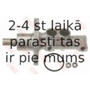 Galvenais bremžu cilindrs TRW PML405