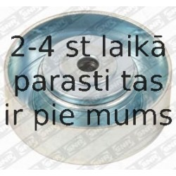 Parazīt-/Vadrullītis, Ķīļrievu siksna SNR GA350.51