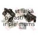 Bremžu suports TRW BHS334E