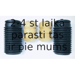 Putekļu aizsargkomplekts, Amortizators SACHS 900 018