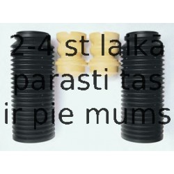 Putekļu aizsargkomplekts, Amortizators SACHS 900 022
