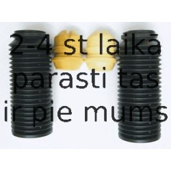 Putekļu aizsargkomplekts, Amortizators SACHS 900 002