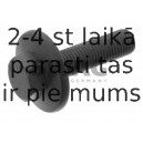 Piedziņas skriemeļa skrūve SWAG 50 94 0755