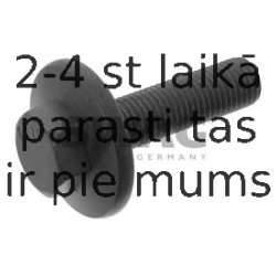 Piedziņas skriemeļa skrūve SWAG 50 94 0755