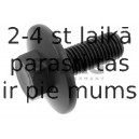 Piedziņas skriemeļa skrūve SWAG 50 94 0754