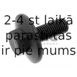 Piedziņas skriemeļa skrūve SWAG 50 94 0754