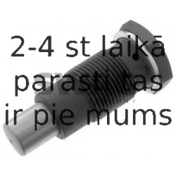 Spriegotājs, Piedziņas ķēde SWAG 30 94 6275