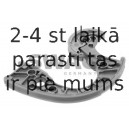 Spriegotājs, Piedziņas ķēde SWAG 30 94 0270