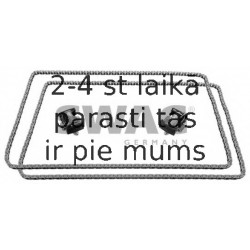 Sadales vārpstas piedziņas ķēdes komplekts SWAG 20 94 7502
