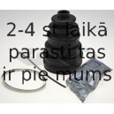 SPIDAN 23662