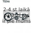 Zobsiksnas komplekts SKF VKMA 01334