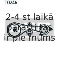 Zobsiksnas komplekts SKF VKMA 01334