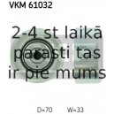 Parazīt-/Vadrullītis, Ķīļrievu siksna SKF VKM 61032