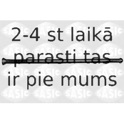 Piederumu komplekts, Divplecu svira SASIC 9400130