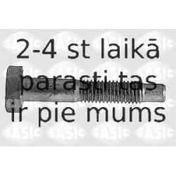 Зажимный болт, несущий / направляющий шарнир SASIC 5223433