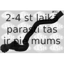 Radiatora cauruļvads SASIC 3406041