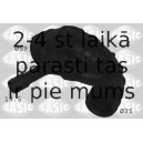 Трубка нагнетаемого воздуха SASIC 3330001