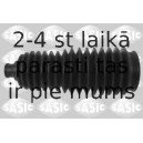 SASIC 2750005