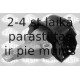 Kronšteins, Motora piekare SASIC 2700075
