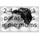 Kronšteins, Motora piekare SASIC 2700041