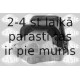 Kronšteins, Motora piekare SASIC 2700039