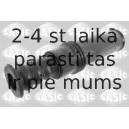 Aizsargvāciņš/Putekļusargs, Amortizators SASIC 2650041