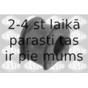 Опора, стабилизатор SASIC 2306104