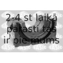Опора, стабилизатор SASIC 2306089