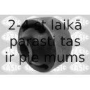 Neatkarīgās balstiekārtas svira, Riteņa piekare SASIC 2250021