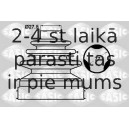 Putekļusargu komplekts, Piedziņas vārpsta SASIC 1904039