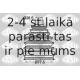 Putekļusargu komplekts, Piedziņas vārpsta SASIC 1904038