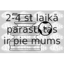 Putekļusargu komplekts, Piedziņas vārpsta SASIC 1904037