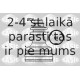 Putekļusargu komplekts, Piedziņas vārpsta SASIC 1904025