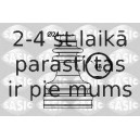 Putekļusargu komplekts, Piedziņas vārpsta SASIC 1904025