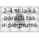 Putekļusargu komplekts, Piedziņas vārpsta SASIC 1904021