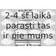 Putekļusargu komplekts, Piedziņas vārpsta SASIC 1900017