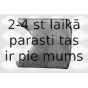 Bukse, Stūres mehānisma reduktora vārpsta SASIC 0624144