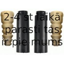 Putekļu aizsargkomplekts, Amortizators SACHS 900 252