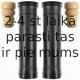 Putekļu aizsargkomplekts, Amortizators SACHS 900 244