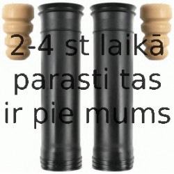 Putekļu aizsargkomplekts, Amortizators SACHS 900 244