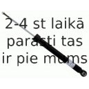 Amortizators SACHS 316 606